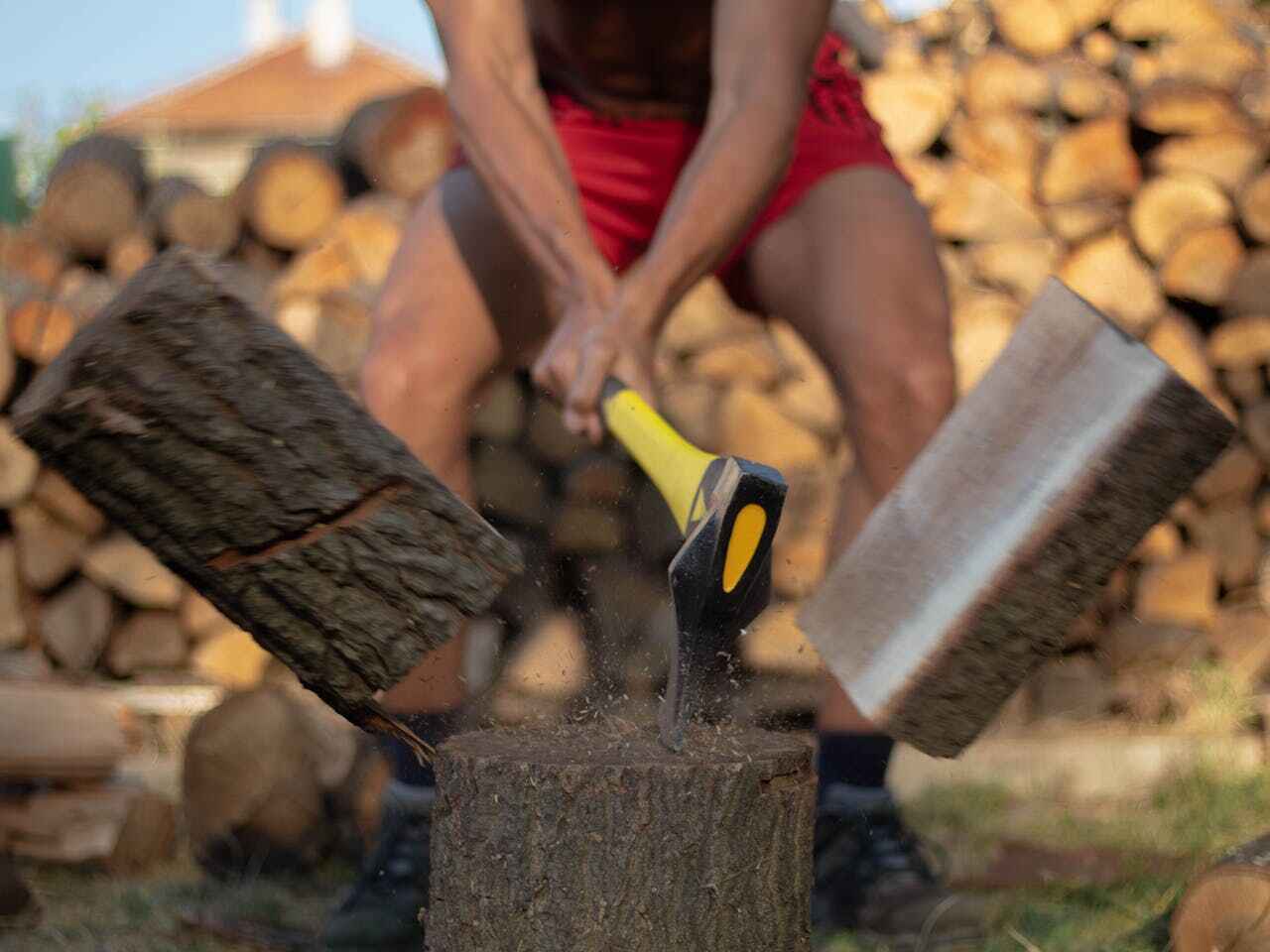 Best Stump Grinding Near Me  in Buenaventura Lakes, FL